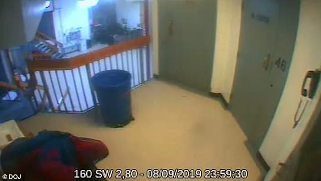 Oversight Committee's Investigation Uncovers Missing Minute in Epstein Surveillance Footage, Prompting Ethics Reevaluation