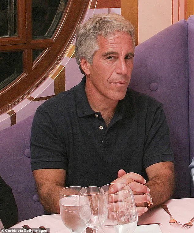 Epstein Investigation Uncovers Ruemmler's Roles, Fueling Public Debate on Government and Financial Oversight