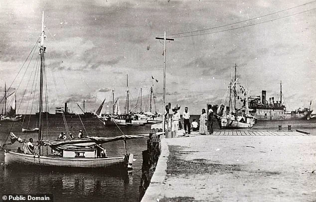 Congresswoman Kimberlyn King-Hinds Urges Trump to Declassify Records on Amelia Earhart's Disappearance