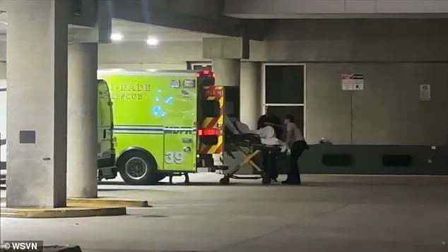 Royal Caribbean Cruise Ship Returns to Shore After Violent Brawl Leaves Two Hospitalized, Raising Safety Concerns