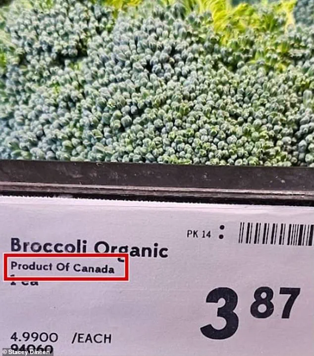 Scandal Erupts as Canadian Supermarkets Accused of 'Maple Washing' in Labeling Fraud