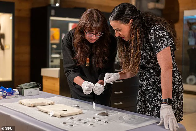 Ancient Artifacts Discovered in Canadian Thrift Store, Priced at $22, Spark Academic Interest