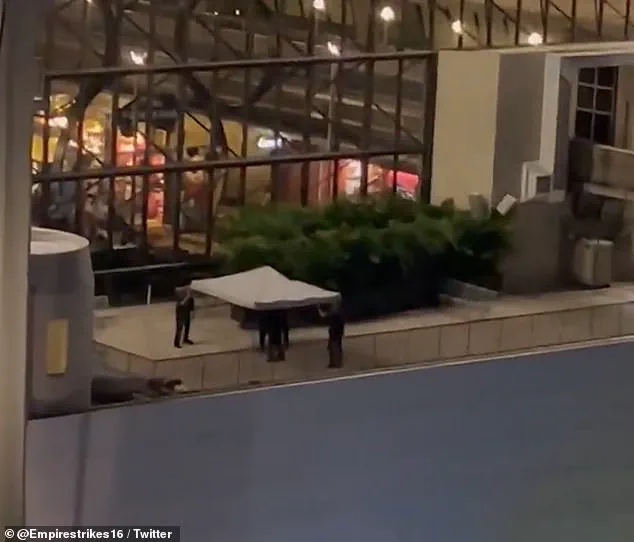 Disney Superfan Summer Equitz Dies by Suicide at Orlando Resort After Disappearance