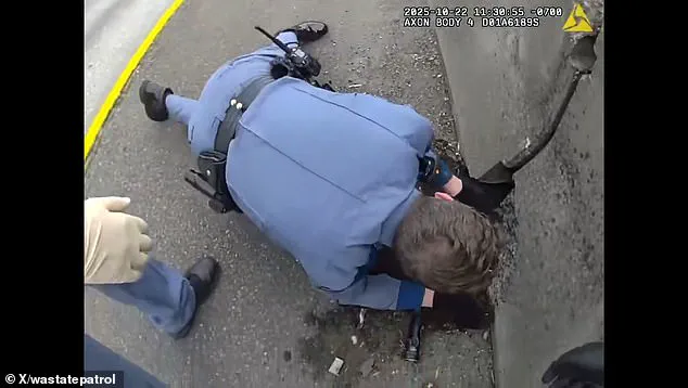 Washington State Highway Patrol Troopers Rescue Kitten Trapped in Road Barrier on I-5, Footage Obtained by Daily Mail