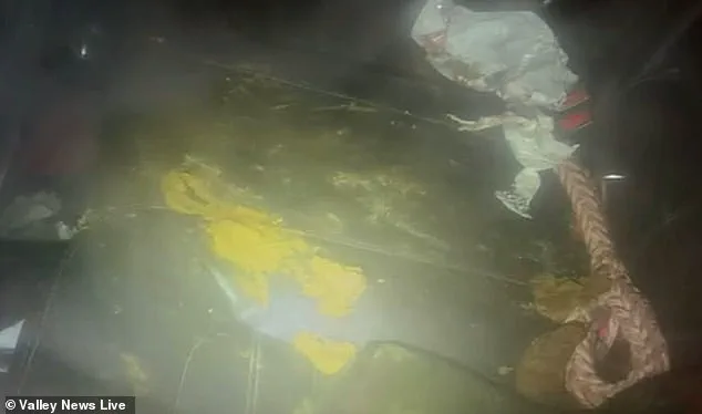 Freezing Conditions Lead to Concerns Over Animals in Moorehead, Minnesota