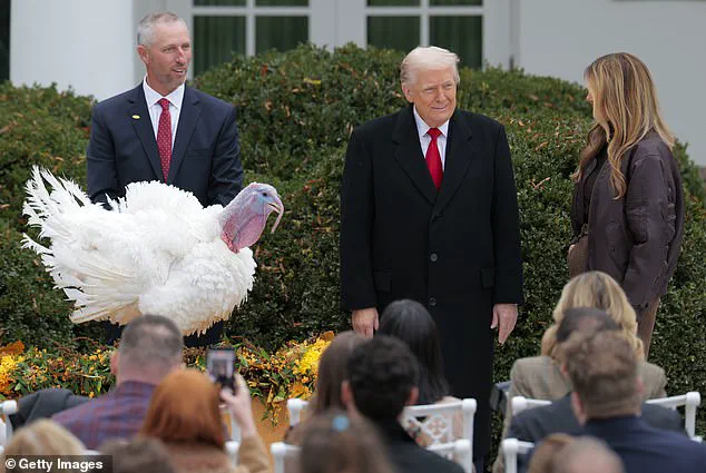 President Trump Pardons Thanksgiving Turkeys in 78th Annual Tradition