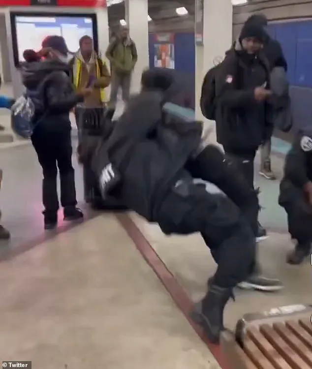 Violent Confrontation at Chicago's Roosevelt Red Line Station Involves Passengers and K-9 Unit Security Officers