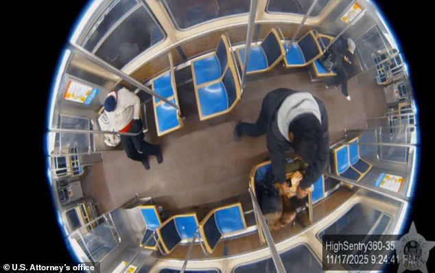 Violent Confrontation at Chicago's Roosevelt Red Line Station Involves Passengers and K-9 Unit Security Officers