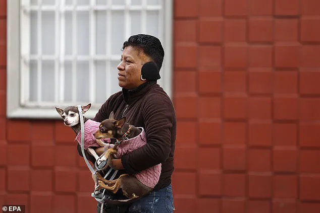 Mexico Shaken by 6.5-Magnitude Earthquake Near Acapulco, Disrupting President’s Press Briefing