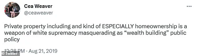Controversy Surrounds New York City's Tenant Protection Chief as Critics Warn of Alienating Working-Class Residents
