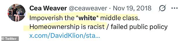 Controversy Surrounds New York City's Tenant Protection Chief as Critics Warn of Alienating Working-Class Residents