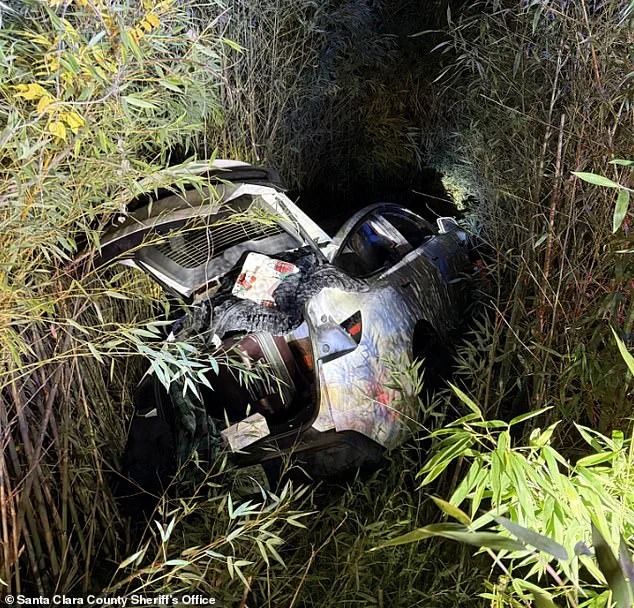 Custodial Concessions: Exclusive Access to Wealth Amid Public Safety Scrutiny