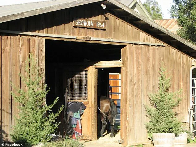 Custodial Concessions: Exclusive Access to Wealth Amid Public Safety Scrutiny