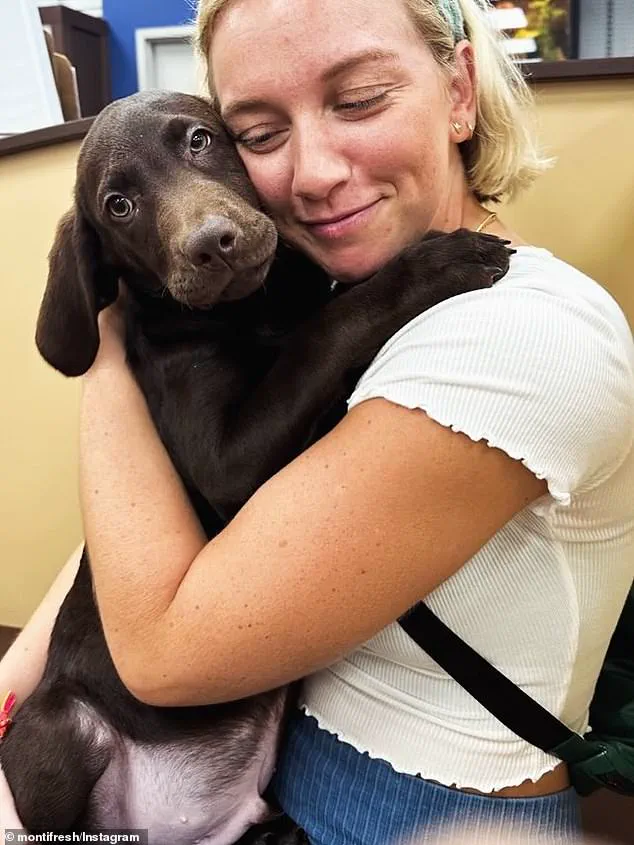 Pittsburgh Woman and Dog Suffer Electric Shock Near Light Pole, Raising Safety Concerns