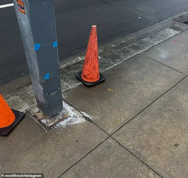 Pittsburgh Woman and Dog Suffer Electric Shock Near Light Pole, Raising Safety Concerns