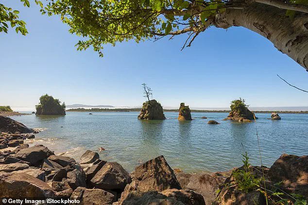 Former Mayor's Remains Identified After 20 Years, Bringing Closure to Family