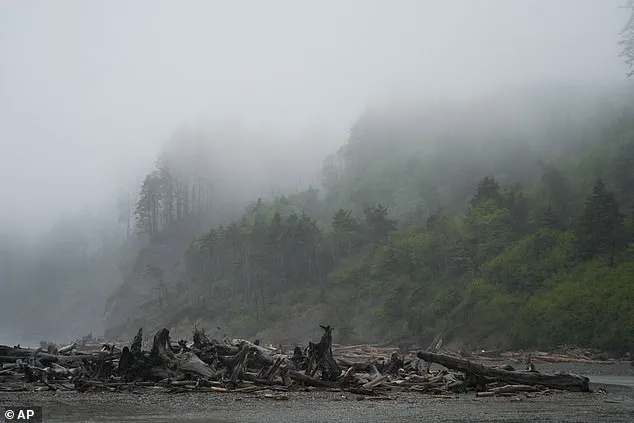 Former Mayor's Remains Identified After 20 Years, Bringing Closure to Family