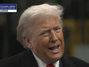 The Double-Edged Sword: How Trump's Policies Reshape Financial Stability for Businesses and Individuals