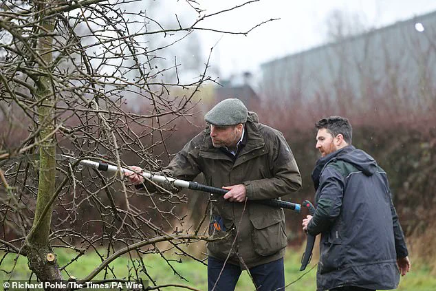 Breaking: Prince William's Hands-On Farm Visit Underscores Royal Commitment to Agriculture