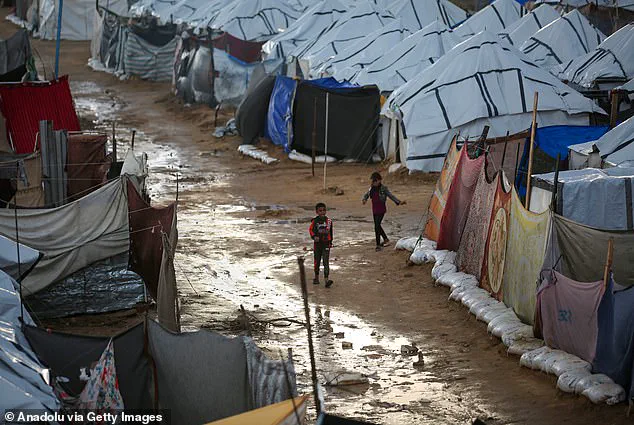 Controversial 'Board of Peace' Initiative Sparks Global Diplomatic Debate Over Trump's Gaza Peace Plan