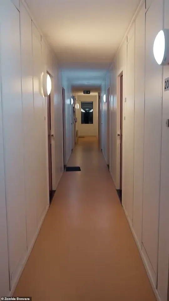 Dutch Media Investigation Reveals Years of Sexual Assault and Violence in Amsterdam's Stek Oost Housing Complex