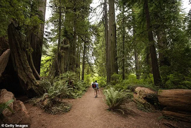 California Defies Trump's Directive to Charge Admission at National Parks on MLK Day and Juneteenth, as Governor Newsom Leads Effort to Preserve Free Access