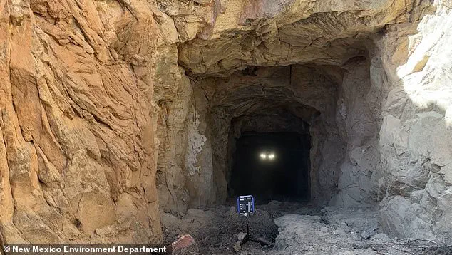 New Mexico's High-Stakes Uranium Mine Cleanup: Expert Advisories and Public Health Imperatives