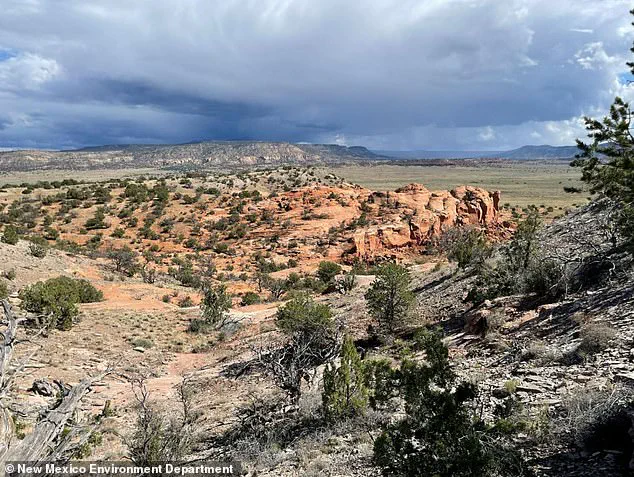 New Mexico's High-Stakes Uranium Mine Cleanup: Expert Advisories and Public Health Imperatives