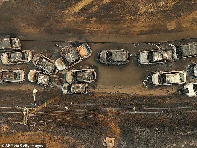 Exclusive: Limited Access to Information as Chile's Wildfires Claim Lives and Displace Thousands