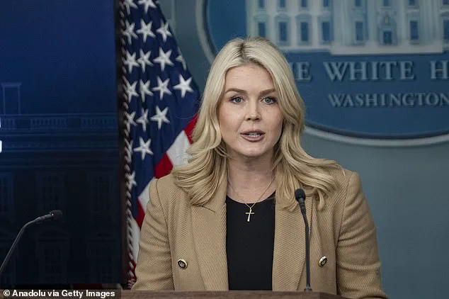 Viral Video Sparks Debate Over Free Speech as Secret Service Responds to Online Rhetoric