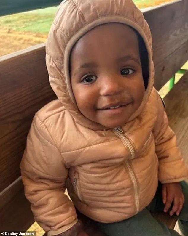 ICE Agents' Use of Tear Gas in Protest Clashes Injures Family, Underlining Government Enforcement's Effect on Public Safety