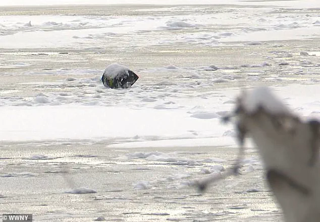 A Father's Final Sacrifice: Bryan LaPlante Dies Saving His Son on Chaumont Pond, Family Says