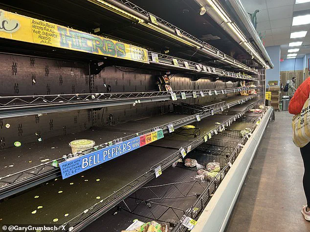 Historic Ice Storm Fern Sparks Emergency Alerts Across 34 States as Millions Face Catastrophic Conditions