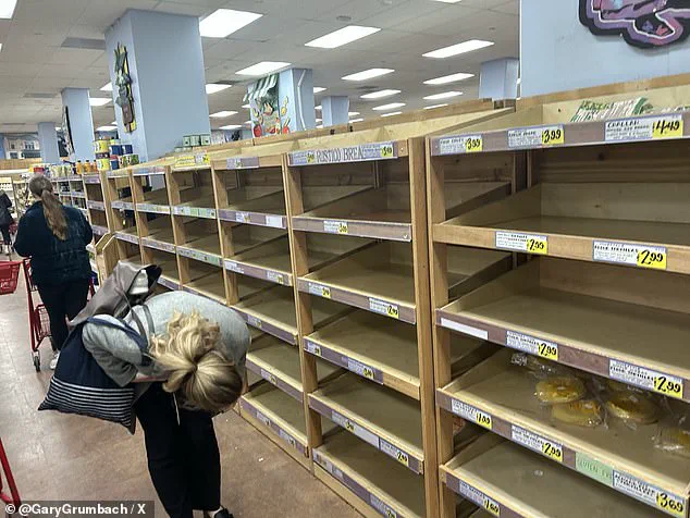 Historic Ice Storm Fern Sparks Emergency Alerts Across 34 States as Millions Face Catastrophic Conditions