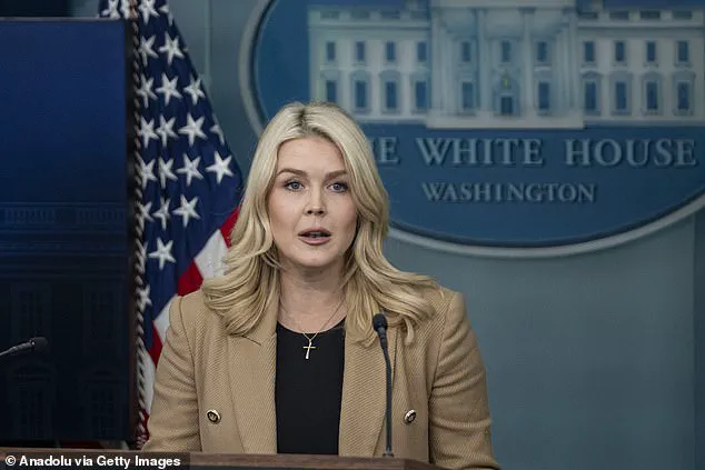 White House Explains New Bruise on President Trump's Hand, Citing Incident at Davos Event