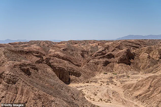 Behind Closed Doors: The Untold Story of a Dune Buggy Crash That Changed a Family's Life