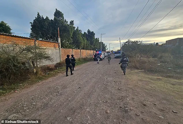 Mass Shooting at Mexican Football Match Sparks Concerns Over Rising Violence in Guanajuato