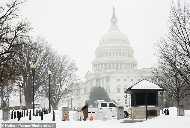 Winter Storm Fern Sparks Blunt Warning from Washington DC Snow Plow Driver 'Princess Cat'