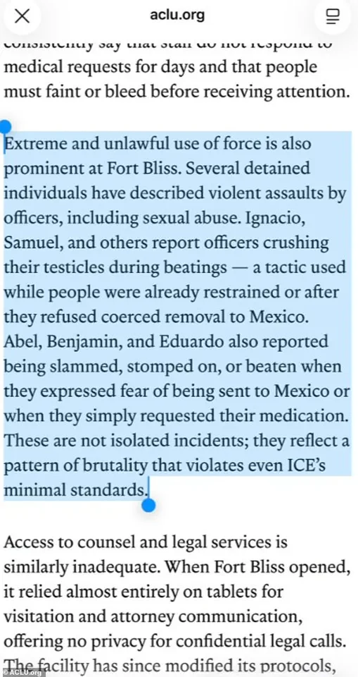 ACLU Alleges 'Horrific Acts of Intimate Torture' at ICE Detention Center in El Paso, Citing Detainee Accounts: 'Systemic Abuse and Brutality' Uncovered in New Claims