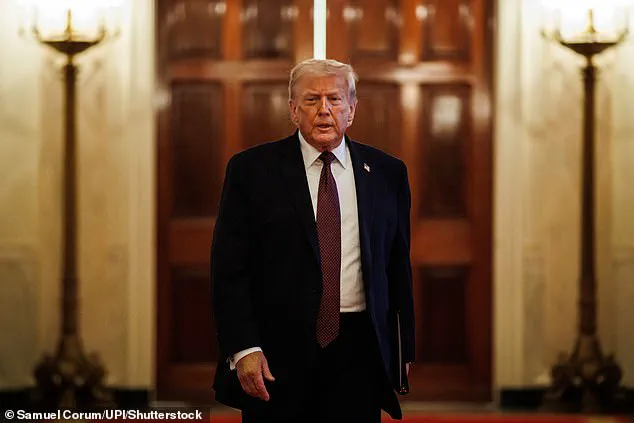 Border Patrol Commander Bovino Reassigned and Stripped of Social Media Access as Trump Administration Shifts Policy Discourse Strategy