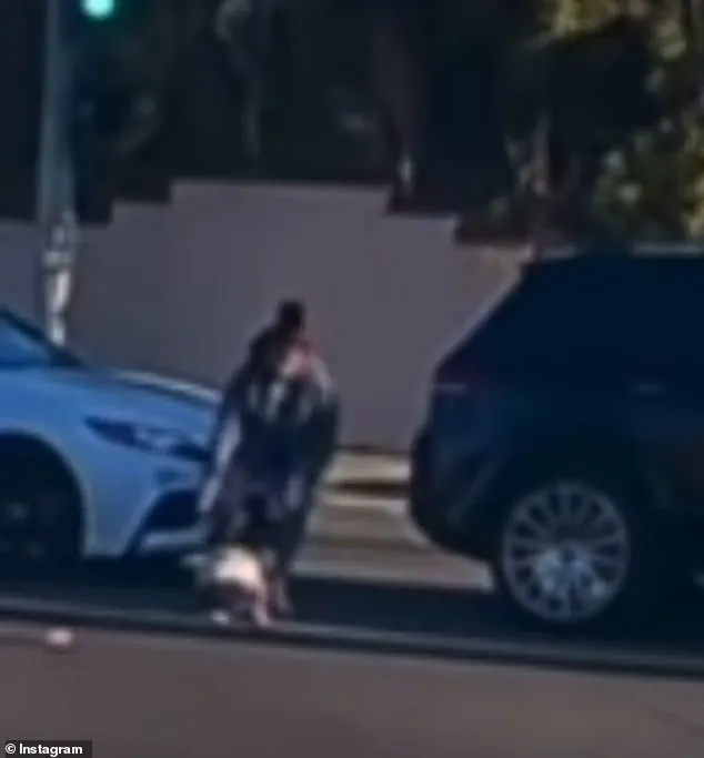 Viral Video Sparks Debate on Child Safety Regulations After California Toddler Falls from Moving Car