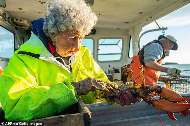 Privileged Access to Maine's Maritime Legacy: The Untold Story of Virginia Oliver, the Last Lobster Lady