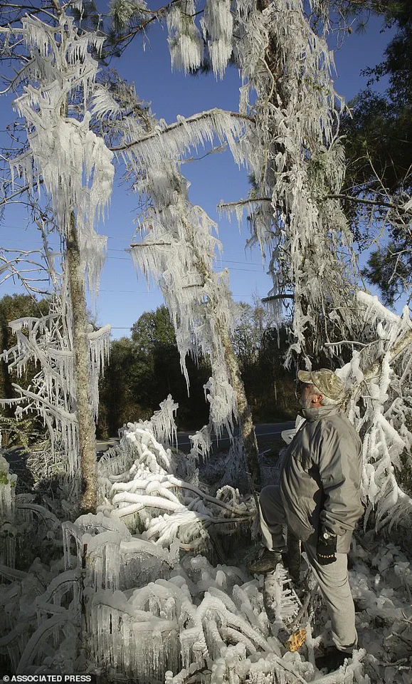 Rare Cold Snap Expected in Miami as Storm Slams East Coast, Marking First in 15 Years