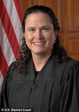 Confidential Operations: Judge's Ruling Highlights ICE's Excessive Force and Restricted Information Access