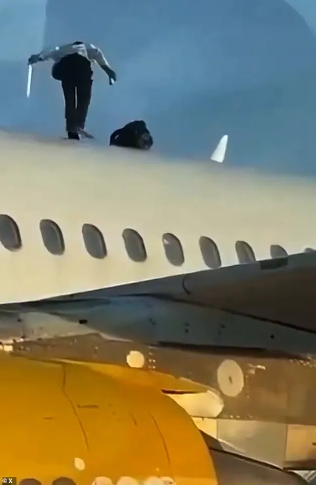 Defiant Moroccan Man Triggers Two-Hour Delay at Valencia Airport with Roof Stunt