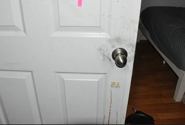 Unseen Crime Scene Photos from Idaho Murders Highlight Tensions Between Transparency and Law Enforcement Protocols