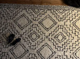 Viral Reddit Image Challenges Internet Users to Spot Hidden Cat in Snowy Yard