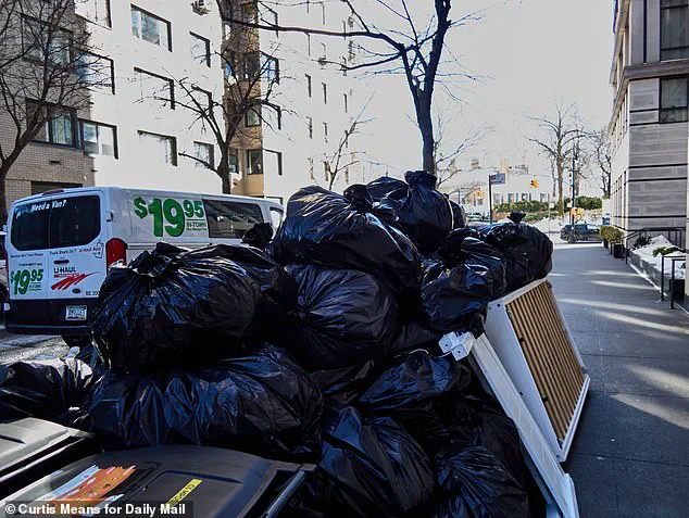 New York City's PR Crisis Deepens as Snow and Trash Pile Up Amid Gracie Mansion's Pristine Condition