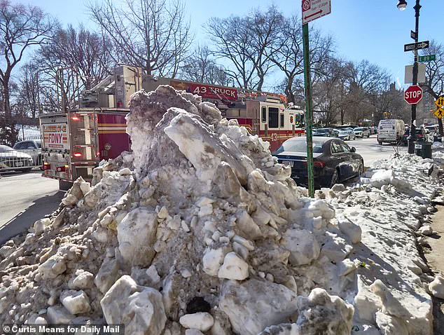 New York City's PR Crisis Deepens as Snow and Trash Pile Up Amid Gracie Mansion's Pristine Condition