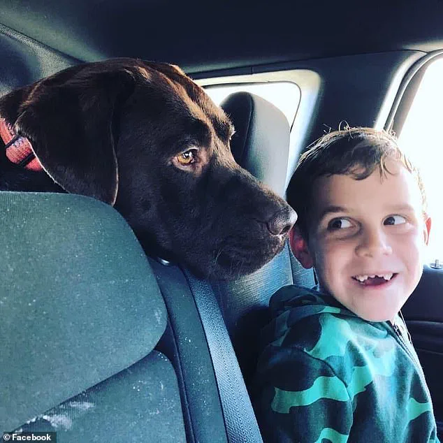 Tragedy in Mosman Park: Family's Deaths Ignite Mental Health and Systemic Failures Debate